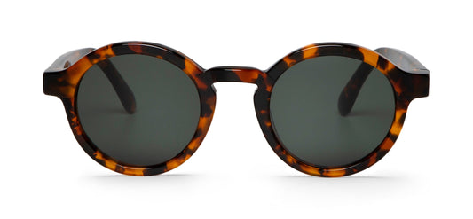 CHEETAH TORTOISE  DALSTON WITH CLASSICAL LENSES